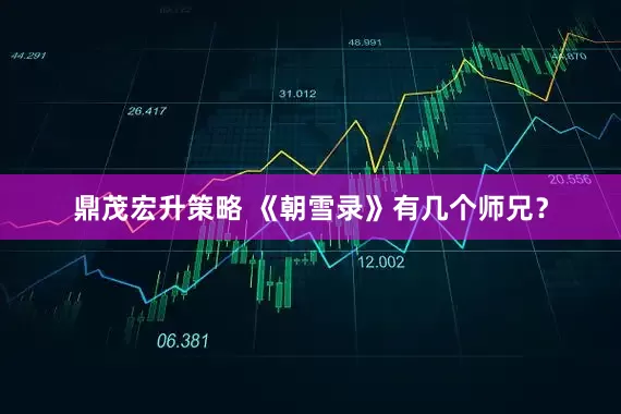 鼎茂宏升策略 《朝雪录》有几个师兄？