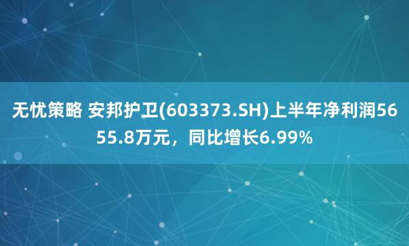 无忧策略 安邦护卫(603373.SH)上半年净利润5655.8万元，同比增长6.99%