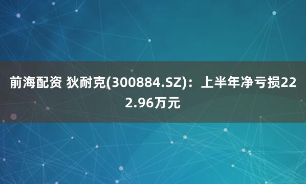 前海配资 狄耐克(300884.SZ)：上半年净亏损222.96万元