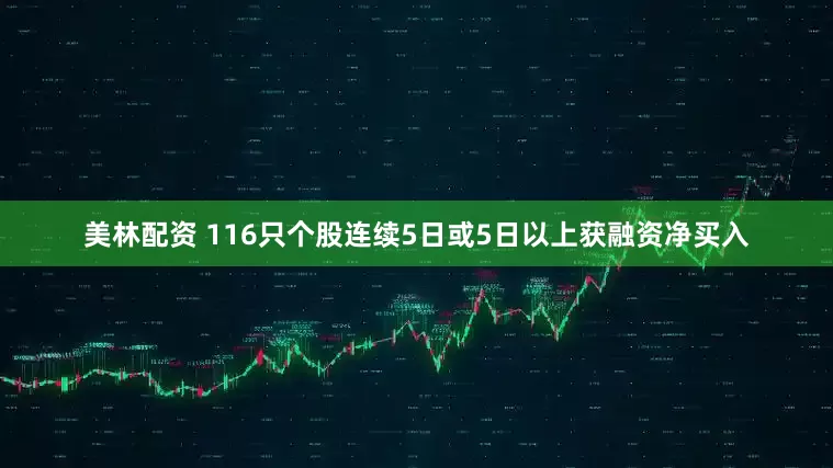 美林配资 116只个股连续5日或5日以上获融资净买入