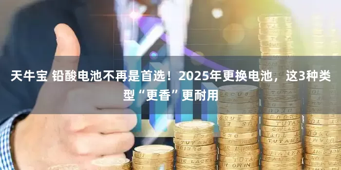 天牛宝 铅酸电池不再是首选！2025年更换电池，这3种类型“更香”更耐用